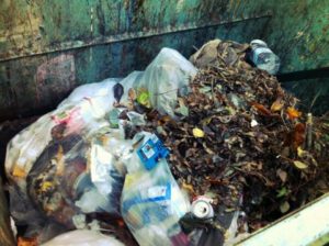 a gross picture of food waste